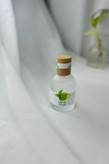 عطر بکینی بارایحه متفاوت و خوشبو درحجم ۵۰ میل